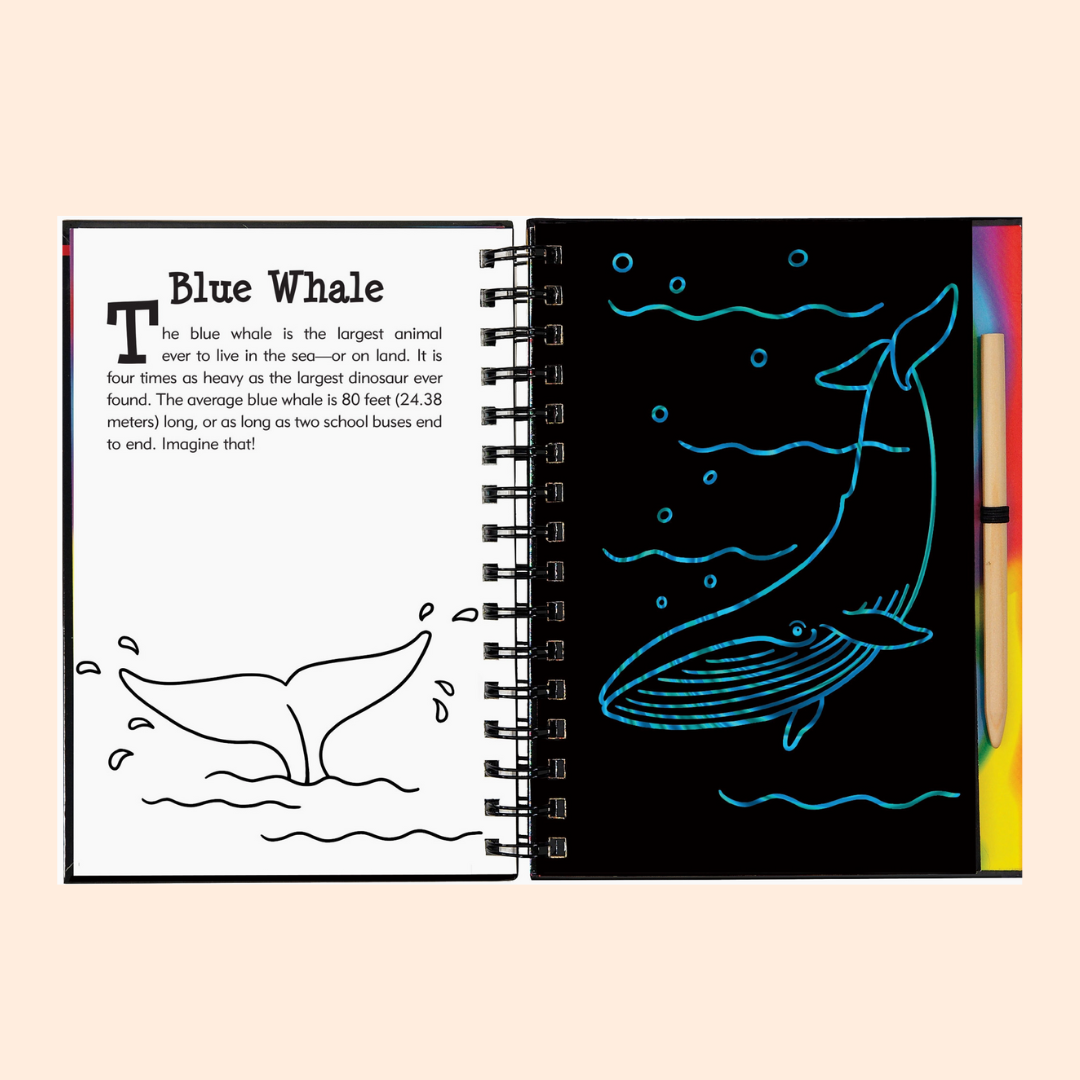 Under the Sea Scratch and Sketch