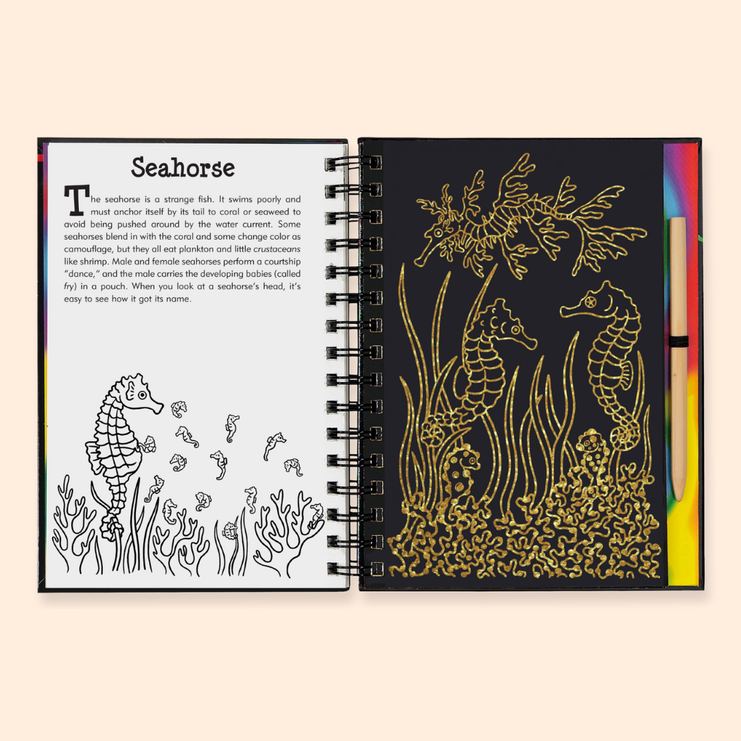 Coral Reefs Scratch and Sketch