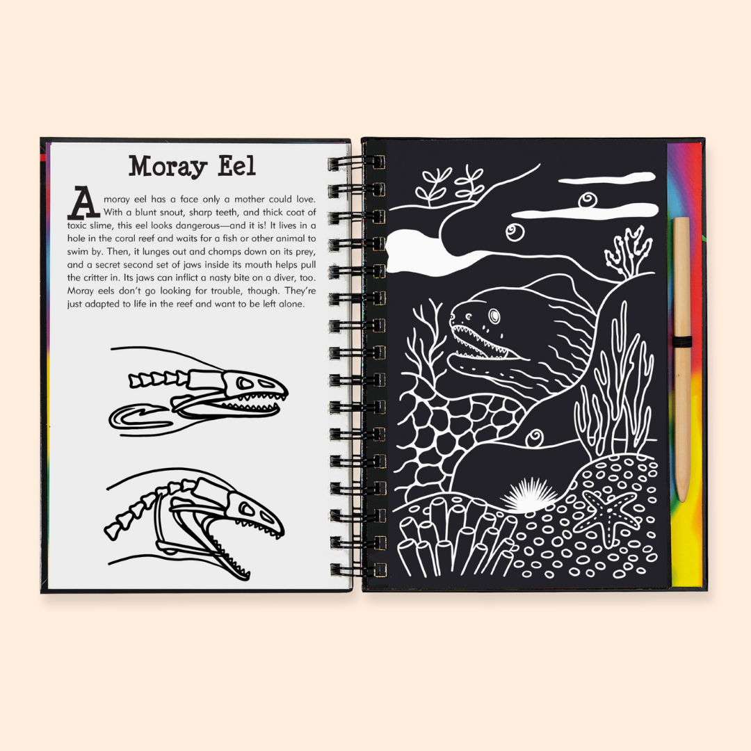 Coral Reefs Scratch and Sketch