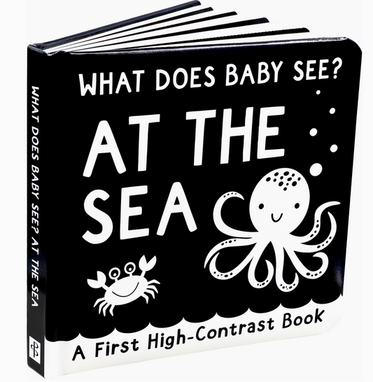 What Does Baby See? - At the Sea Board Book