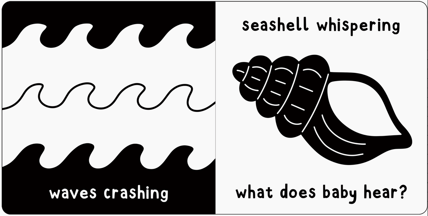 What Does Baby See? - At the Sea Board Book