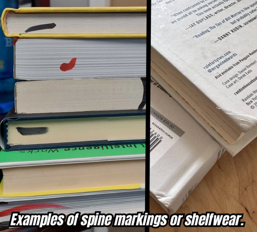 Shredders: Girls Who Skate Book