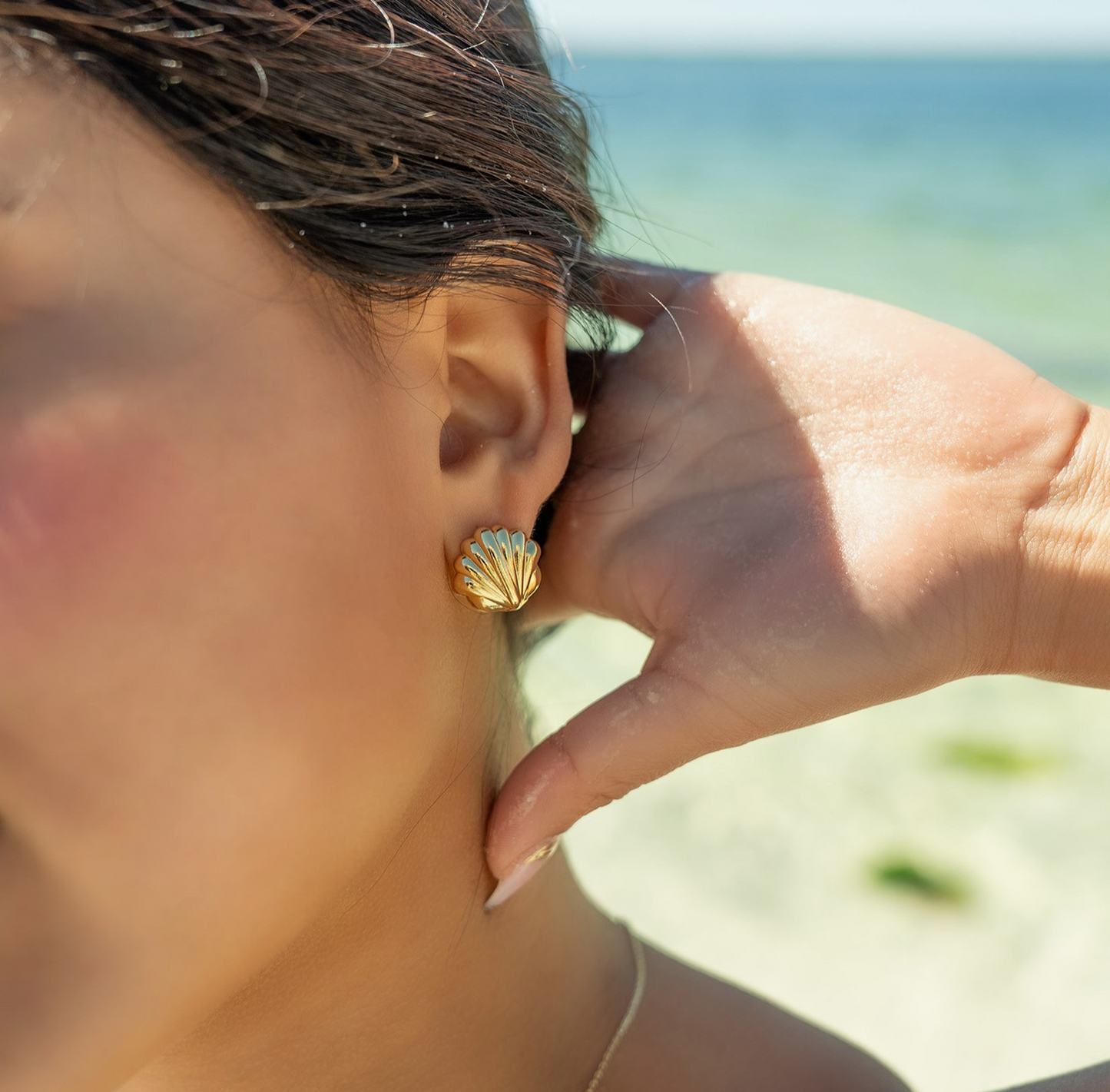 Shell Huggie Earrings