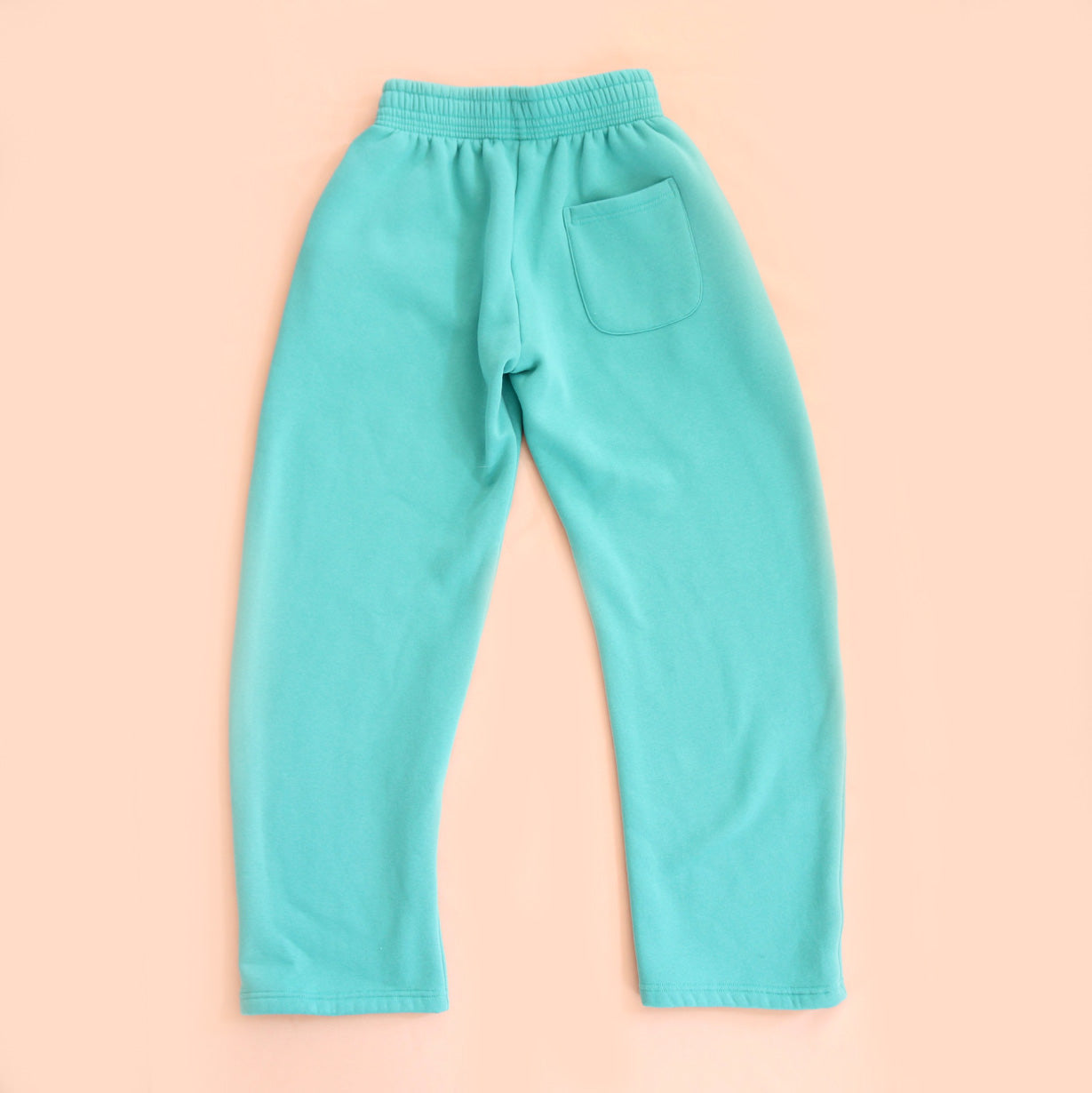 Sea Glass Embroidered Sweatpants